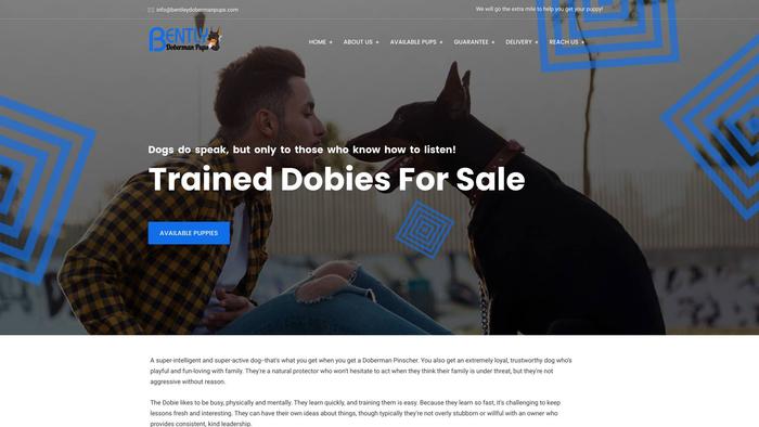 Bentleydobermanpups.com - Doberman Pinscher Puppy Scam Review