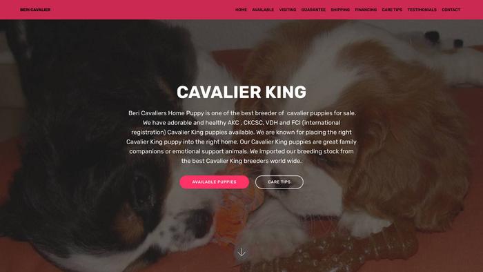 Bericavalierhome.com - Cavalier King Charles Spaniel Puppy Scam Review