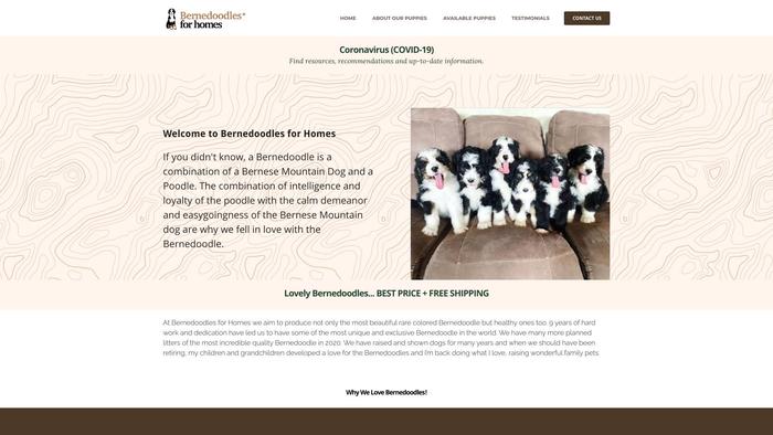 Bernedoodles4homes.com - Bernedoodle Puppy Scam Review