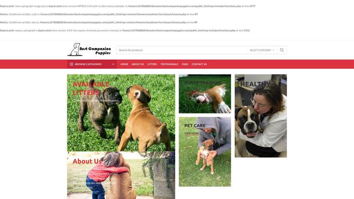 Bestcompanionpuppies.com - Boxer Puppy Scam Review