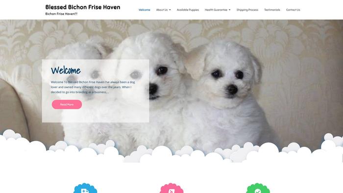 Blessedbichonfrisehaven.com - Bichon Frise Puppy Scam Review