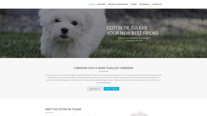 Blessedpetshome.com - Coton De Tulear Puppy Scam Review