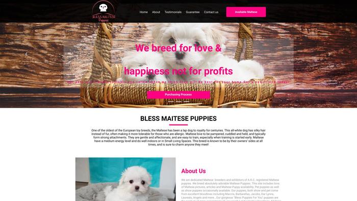 Blessmaltesepuppies.com - Maltese Puppy Scam Review