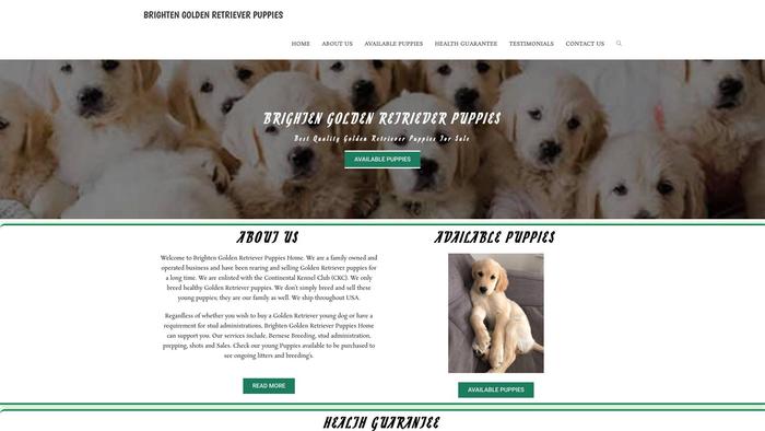 Brightengoldenretrieverpuppies.com - Golden Retriever Puppy Scam Review