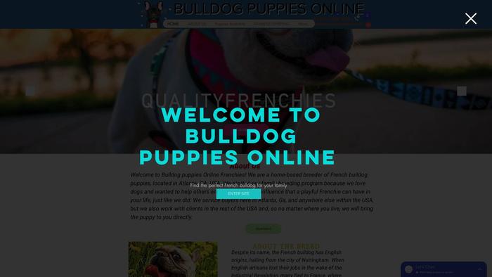 Bulldogpupsonline.com - Bulldog Puppy Scam Review