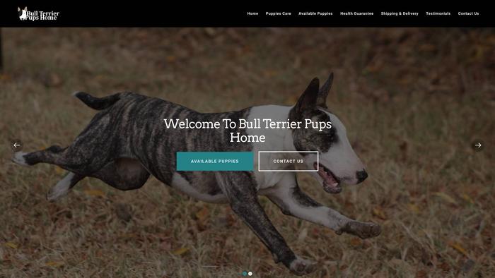 Bullterrierpupshome.com - Terrier Puppy Scam Review