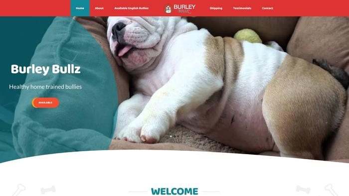 Burleybullz.com - English Bulldog Puppy Scam Review