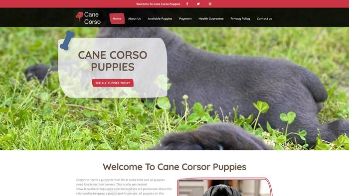 Buycanecorsopuppies.com - Cane Corso Puppy Scam Review