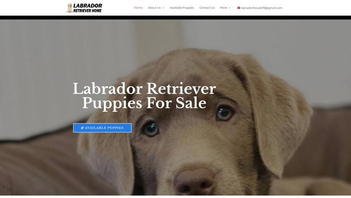 Buylabretrieverpups.com - Golden Retriever Puppy Scam Review