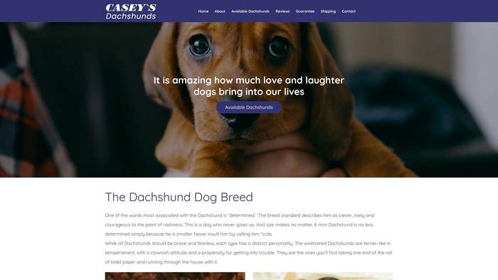 Caseysdachshunds.com - Dachshund Puppy Scam Review