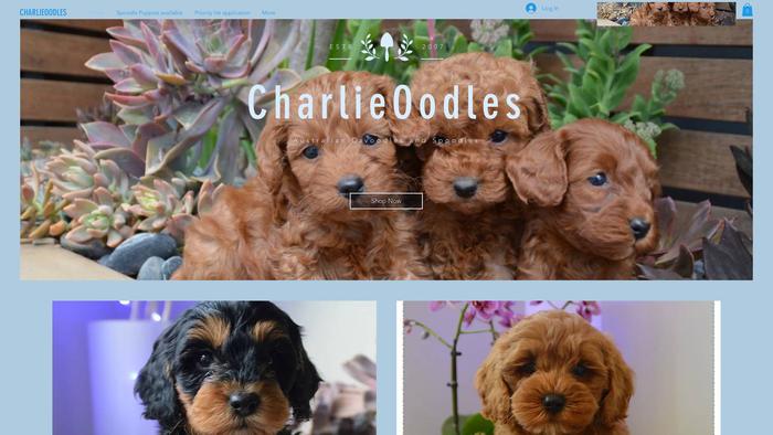 Cavoodlesaustralia.com - Cavapoo Puppy Scam Review