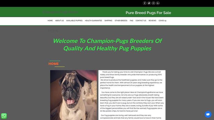 Championpugs4home.com - Pug Puppy Scam Review