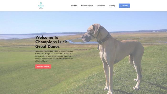 Championsluckgreatdane.com - Great Dane Puppy Scam Review