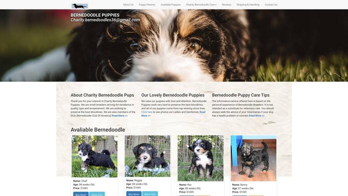 Charitybernedoodles.com - Bernedoodle Puppy Scam Review