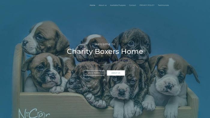 Charityboxershome.com - Boxer Puppy Scam Review