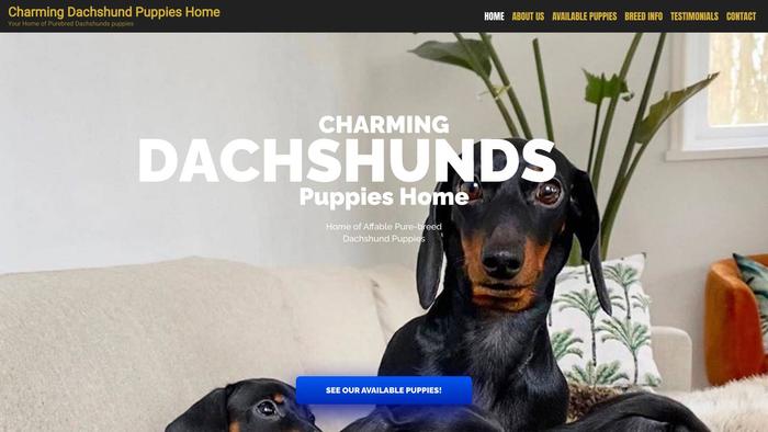 Charmingdachshundpuppieshome.com - Dachshund Puppy Scam Review