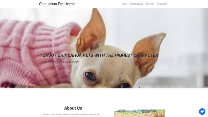 Chihuahuapethome.com - Chihuahua Puppy Scam Review