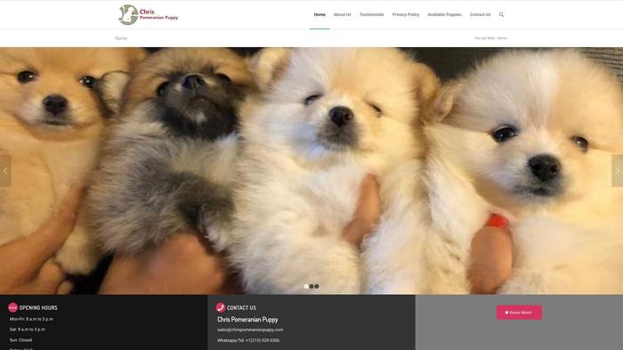 Chrispomeranianpuppy.com - Pomeranian Puppy Scam Review