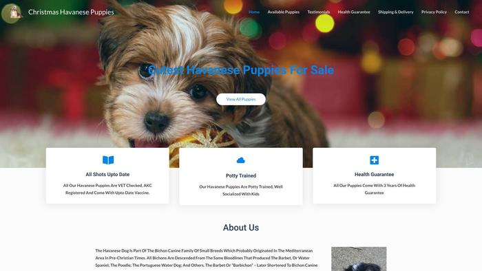 Christmashavanesepuppies.com - Havanese Puppy Scam Review