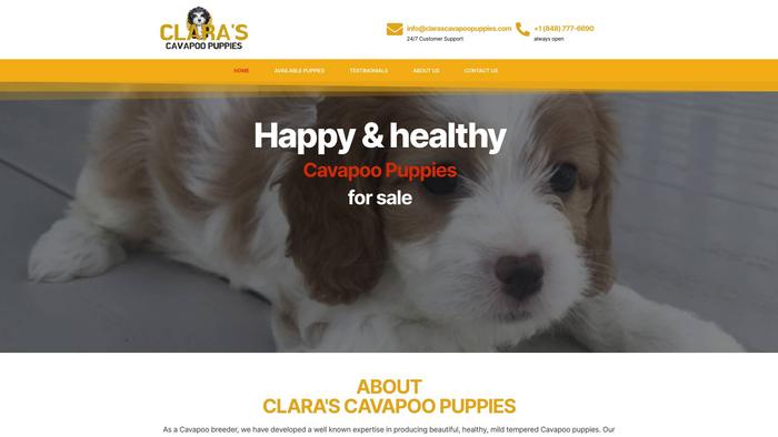 Clarascavapoopuppies.com - Cavapoo Puppy Scam Review