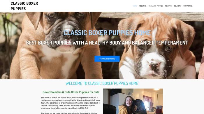 Classicboxerpuppies.com - Boxer Puppy Scam Review