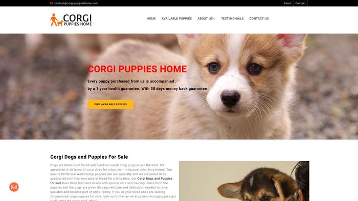 Corgi-puppieshome.com - Corgi Puppy Scam Review