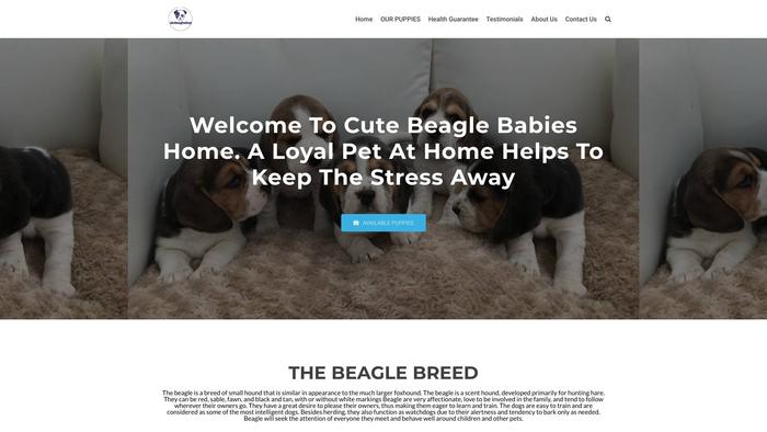 Cutebeaglesbabies.com - Beagle Puppy Scam Review