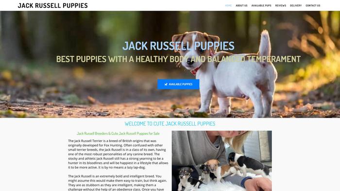 Cutejackrussellpuppies.com - Jack Russell Terrier Puppy Scam Review