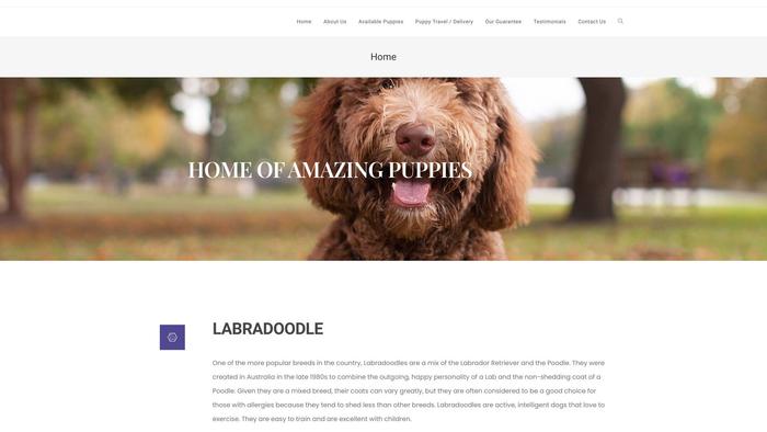 Cutelabradoodlehome.com - Labradoodle Puppy Scam Review