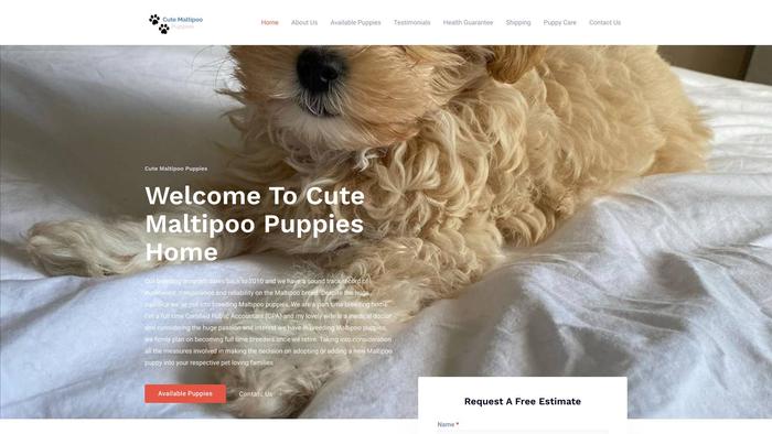 Cutemaltipoopuppies.com - Maltipoo Puppy Scam Review