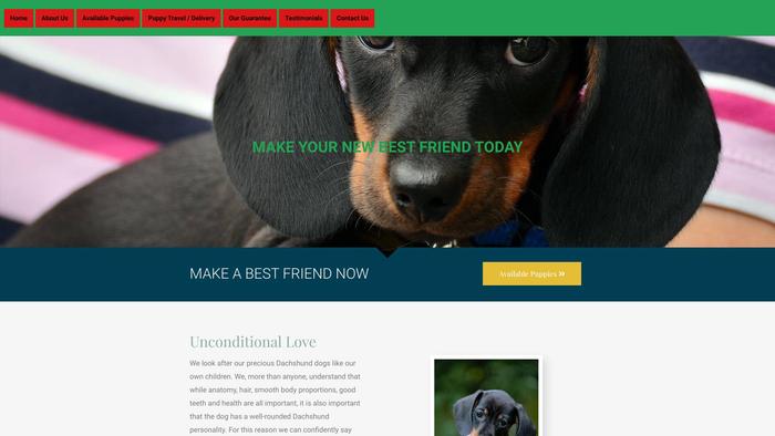 Dachshundforme.com - Dachshund Puppy Scam Review