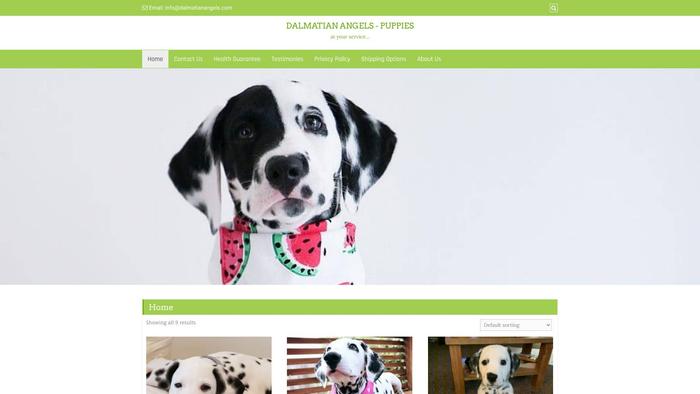 Dalmatianangels.com - Labrador Puppy Scam Review