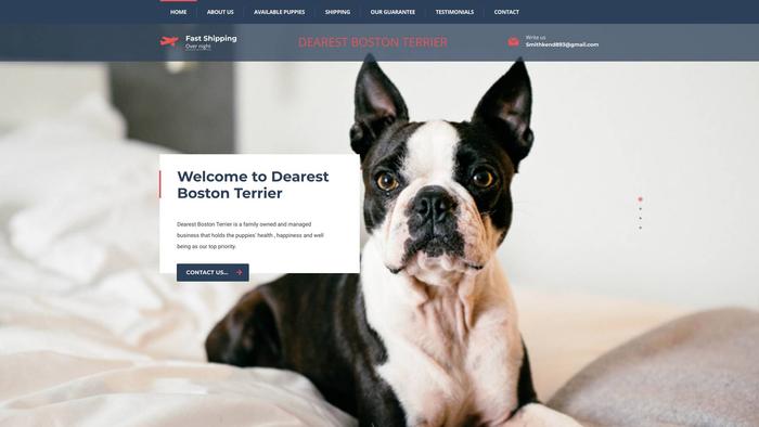 Dearestbostonterrier.com - Boston Terrier Puppy Scam Review