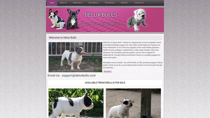 Deluxbulls.com - English Bulldog Puppy Scam Review