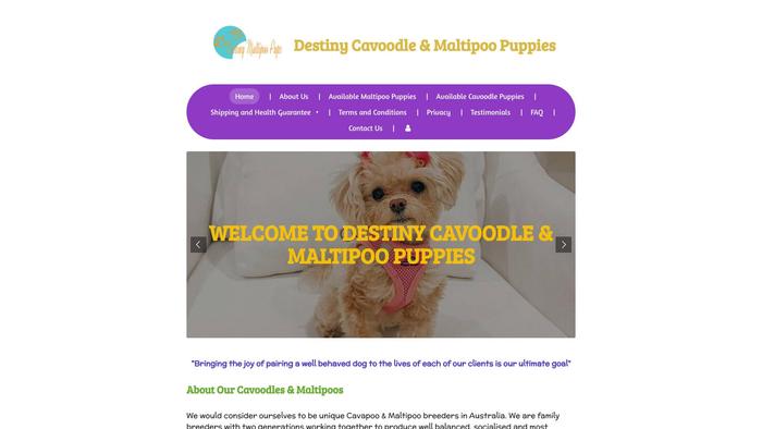 Destinymaltipoopuppies.com - Maltipoo Puppy Scam Review