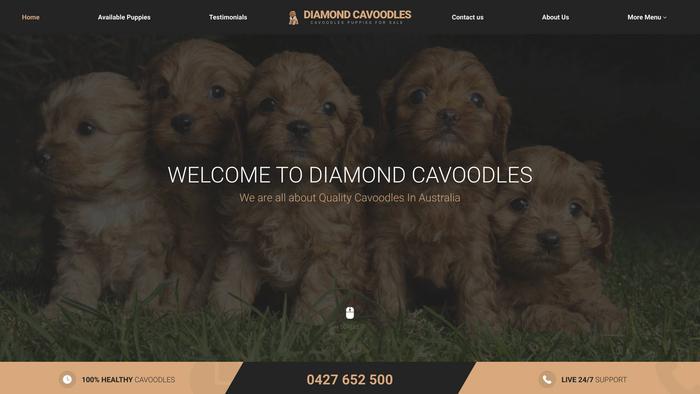 Diamondcavoodles.com - Cavapoo Puppy Scam Review