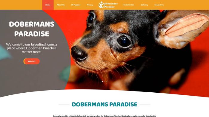 Dobbypups.com - Doberman Pinscher Puppy Scam Review