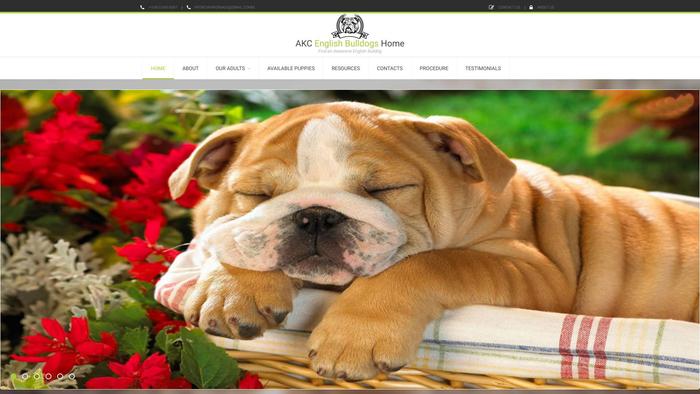 Englishbulldoghome.us - English Bulldog Puppy Scam Review