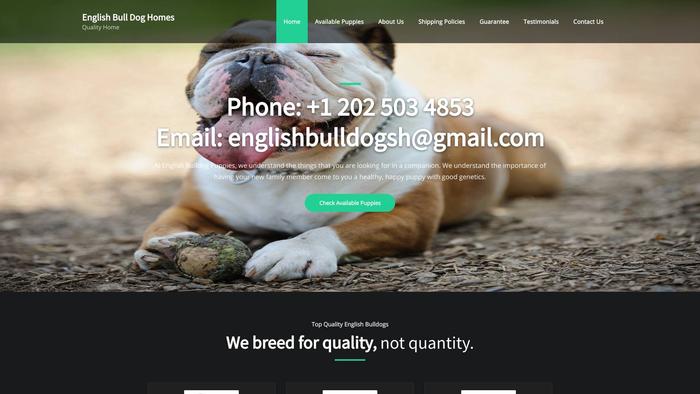 Englishbulldoghomes.com - English Bulldog Puppy Scam Review