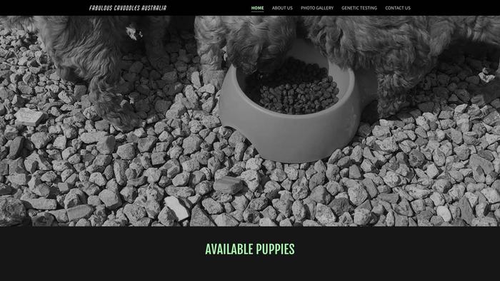 Fabulouscavoodles.net - Cavapoo Puppy Scam Review