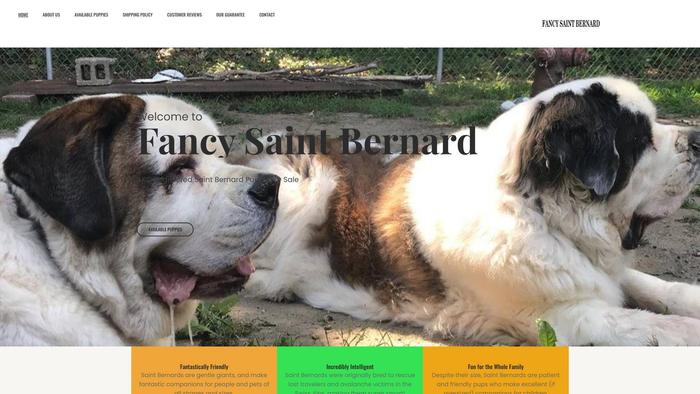 Fancysaintbernard.com - Saint Bernard Puppy Scam Review