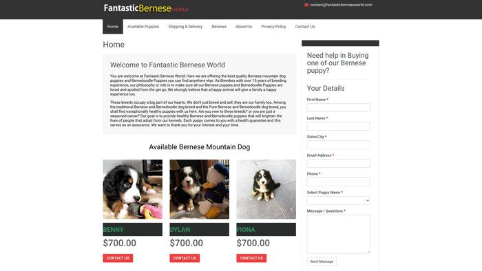 Fantasticberneseworld.com - Bernese Mountain Dog Puppy Scam Review