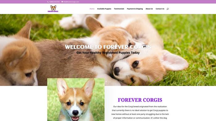 Forevercorgis.com - Corgi Puppy Scam Review