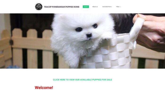 Frankpompups.net - Pomeranian Puppy Scam Review