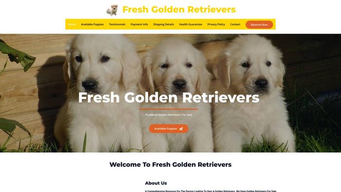 Freshgoldenretrievers.com - Golden Retriever Puppy Scam Review