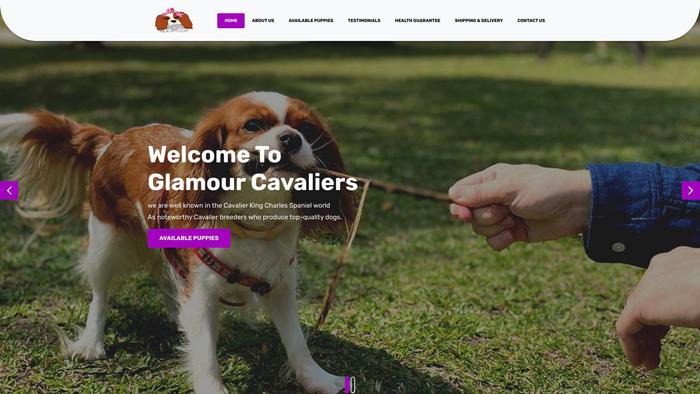 Glamourcavaliers.com - Cavalier King Charles Spaniel Puppy Scam Review