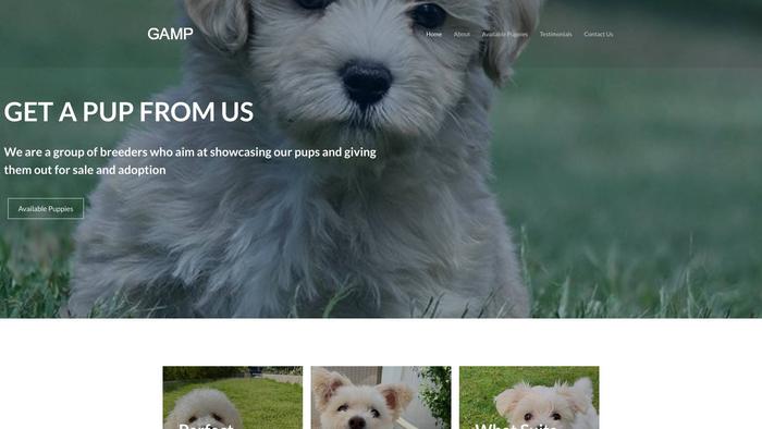 Glenallensmaltipoopuppies.com - Maltipoo Puppy Scam Review