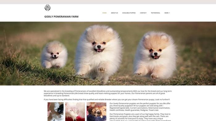 Godlypomeranianpups.com - Pomeranian Puppy Scam Review