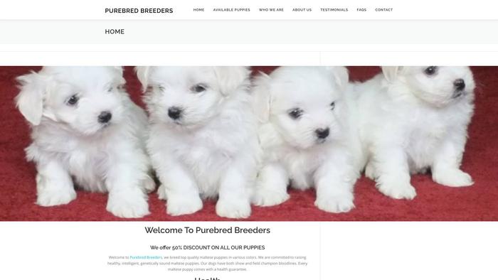 Goldenbreedyorkies.com - Yorkshire Terrier Puppy Scam Review