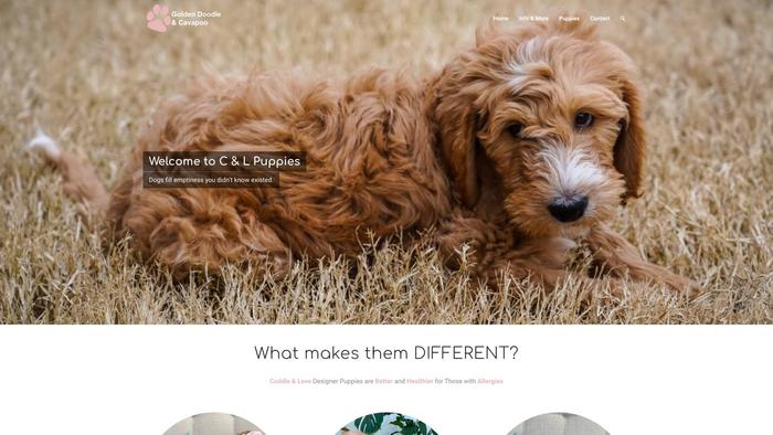 Goldendoodleandcavapoo.com - Cavapoo Puppy Scam Review